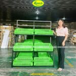 Kệ rau củ quả trái cây tại Đồng Nai